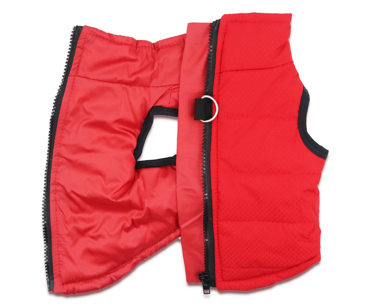 DroolingDog uso en otoño e invierno para perros pequeños.