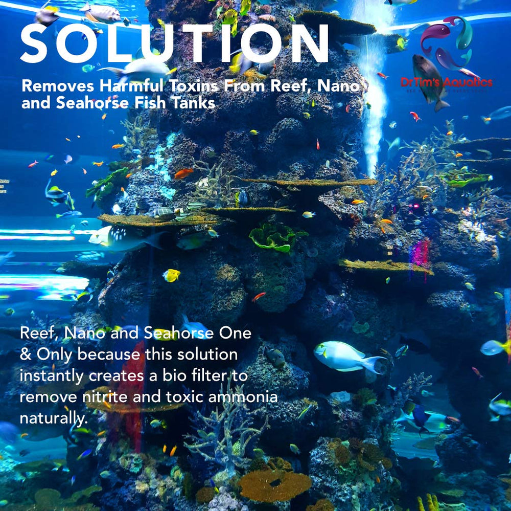 DrTims Aquatics Uno y Único, acuario de arrecife listo para coral y fauna.