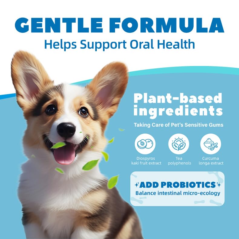 Dr Vet probioticos-dental, ayuda a mantener una microflora oral equilibrada.