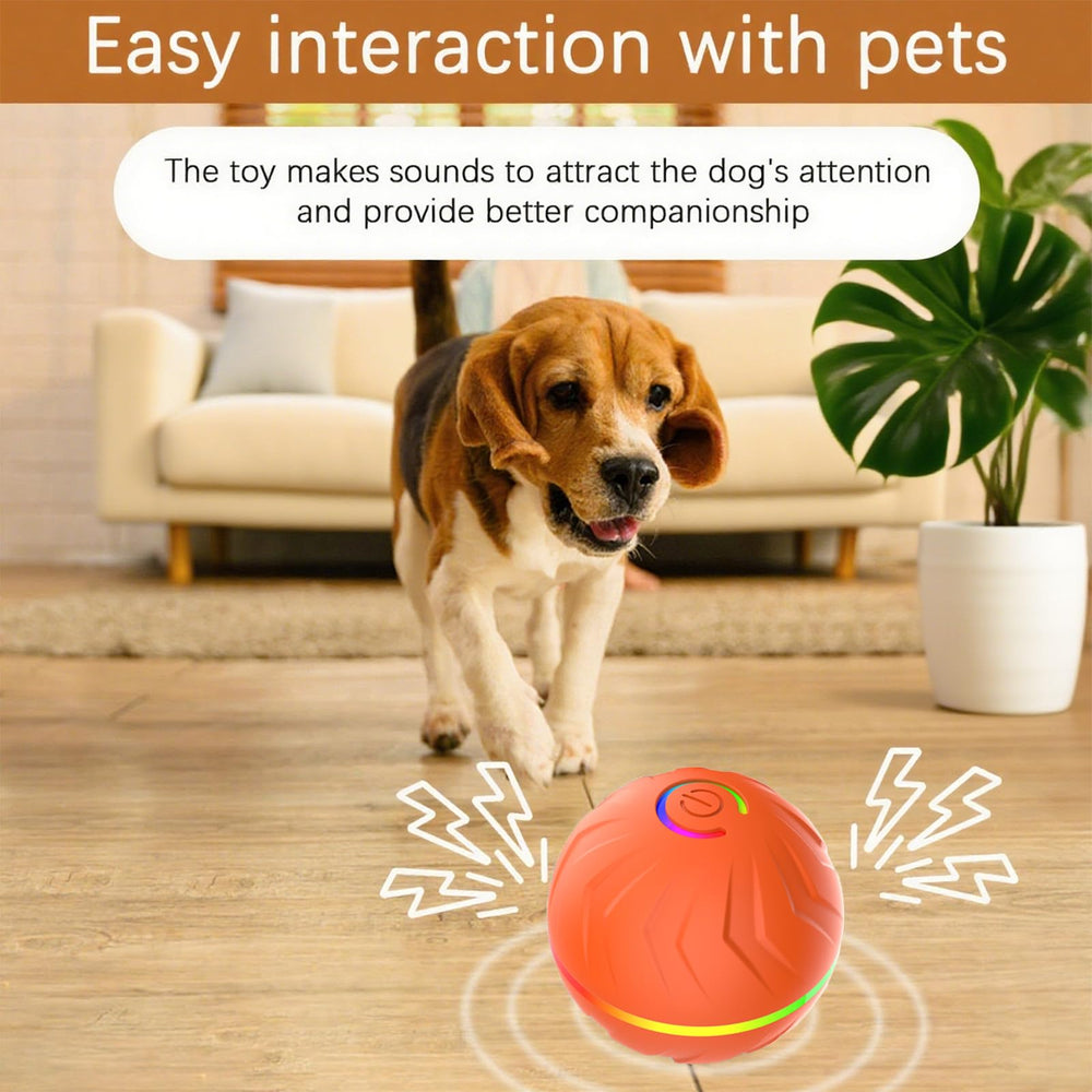 DRVUXBIL bola automática con rebote para perros activos