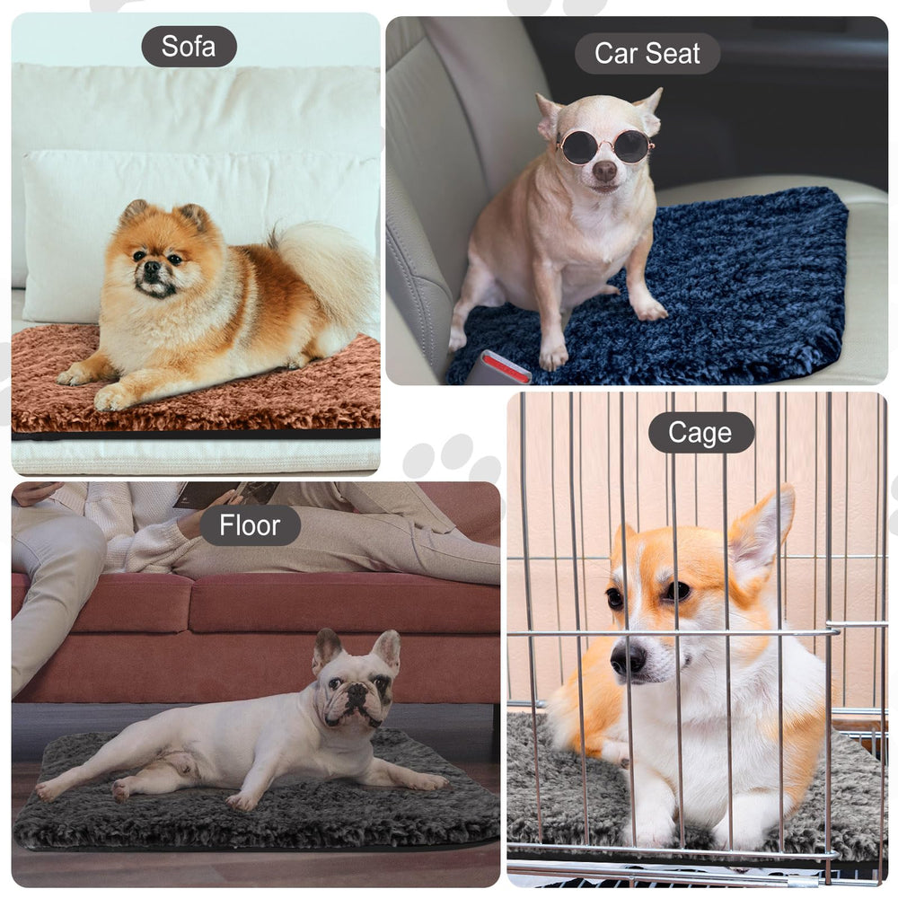 Drydiet funda portátil y lavable; ideal para viajes con mascotas.