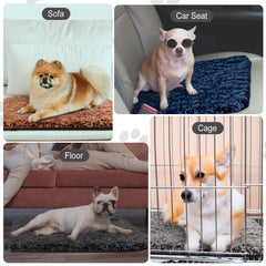 Drydiet almohadillas auto calentantes azul marino para mascotas pequeñas.