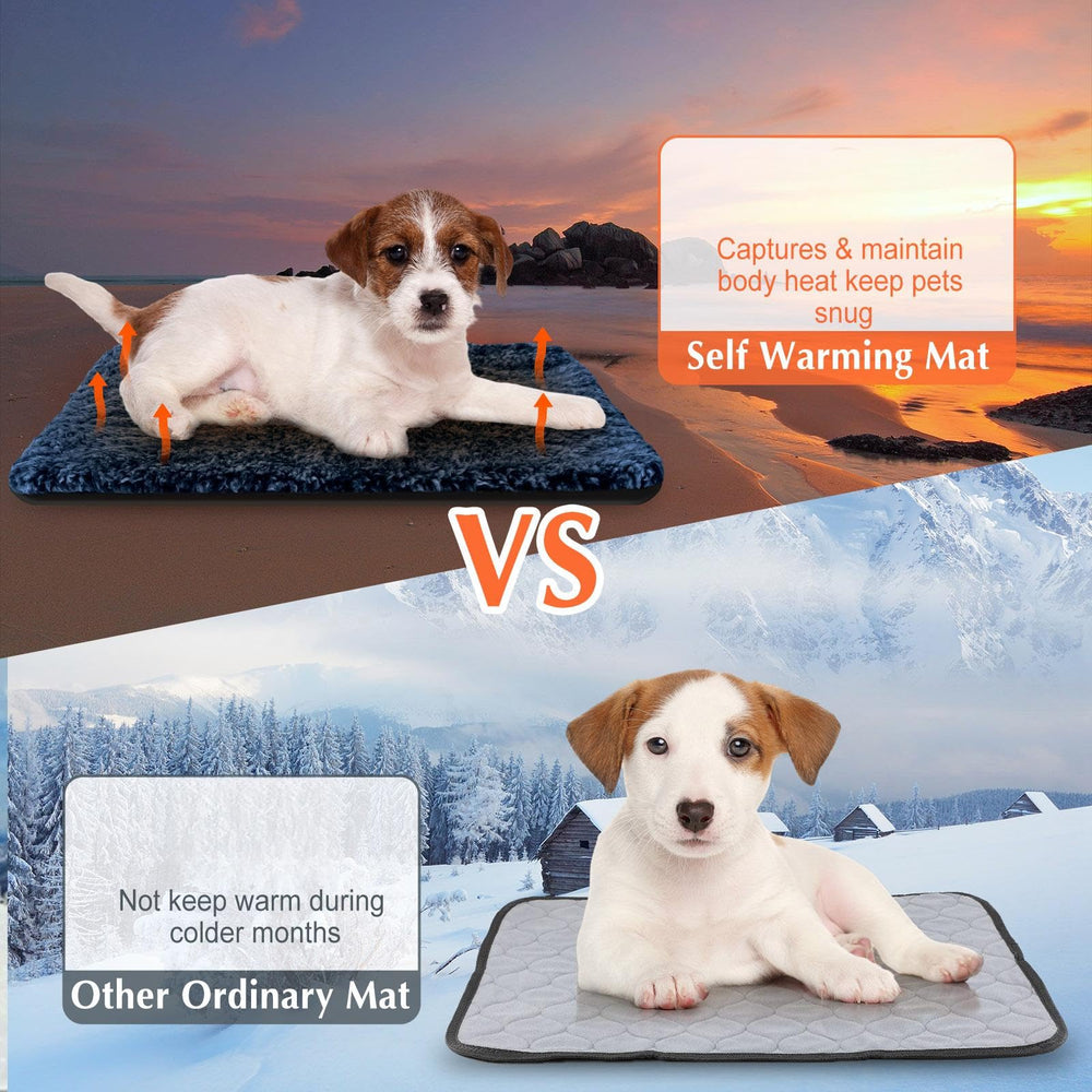 Drydiet diseño ligero para viajar con tu mascota