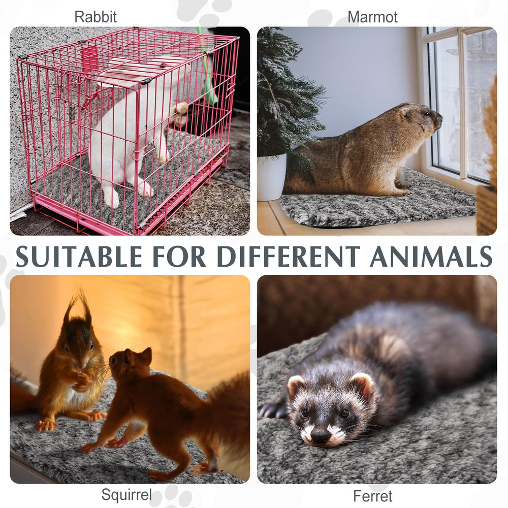 Drydiet paquete de 4 almohadillas para mascotas, práctico para refugios.