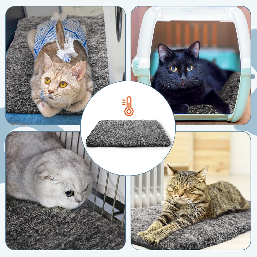 Drydiet cama portátil para viajes y paseos de mascotas