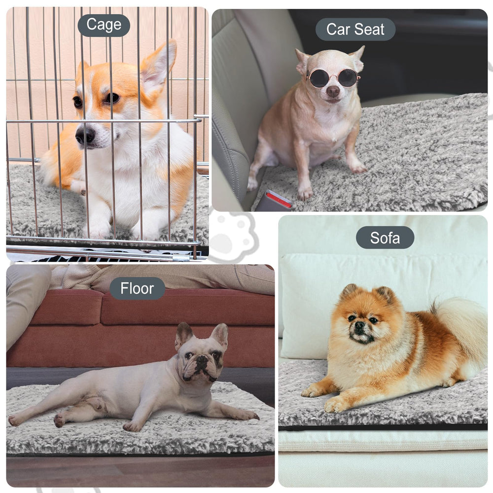 Drydiet uso doméstico y viaje para mascotas ligero y portátil