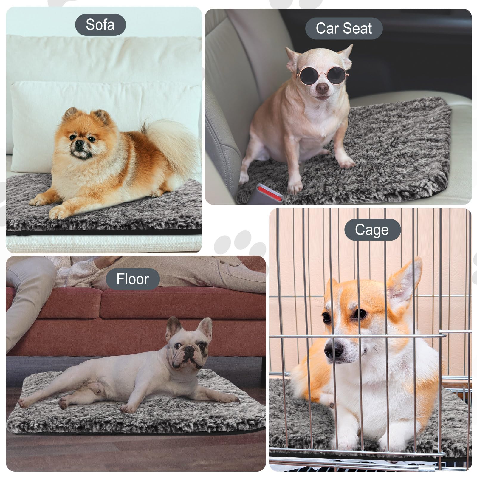 Uso en jaula o kennel con Drydiet, cómodo para transporte.