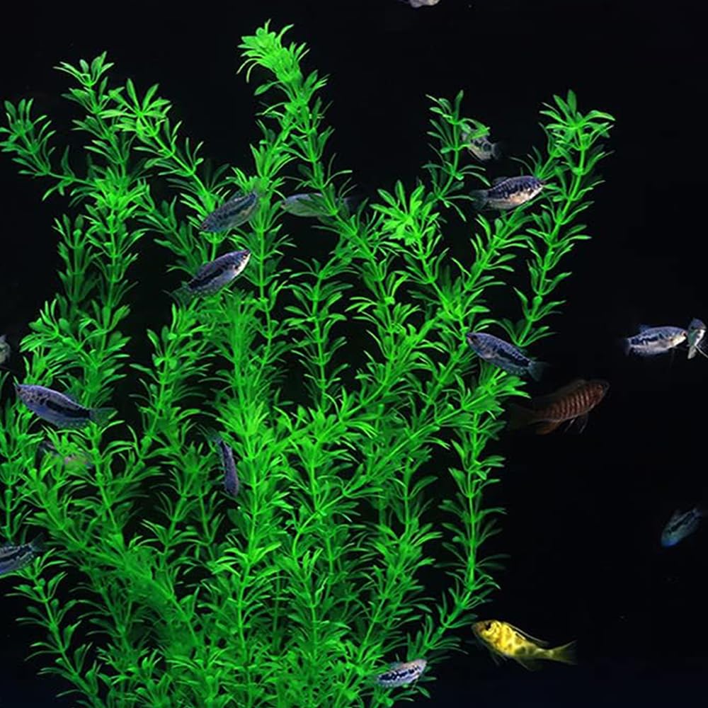 dskoiph plantas para acuario, fondo verde artificial de 21 pulgadas.