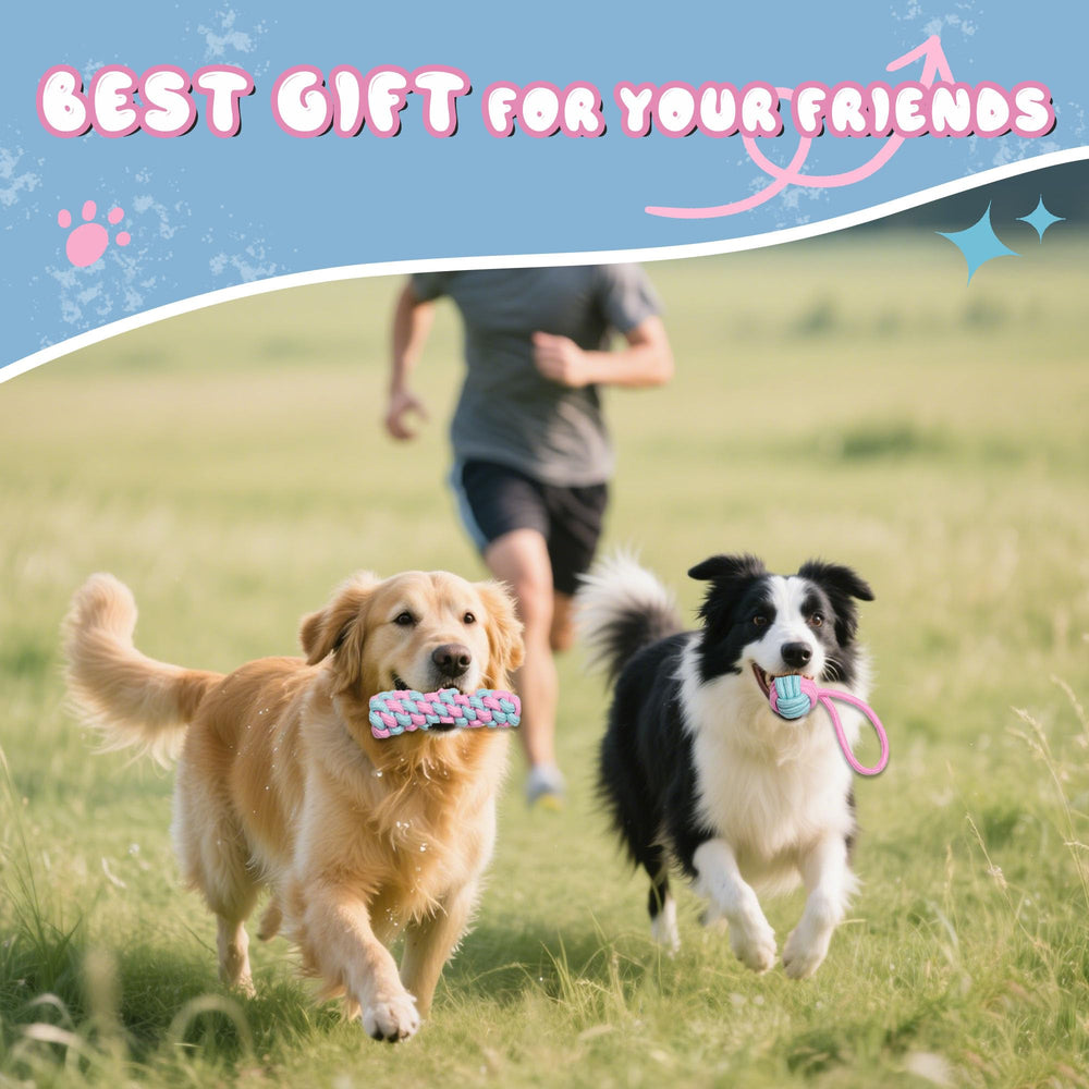 DSUMD regalo ideal para cumpleaños o festivales de mascotas.