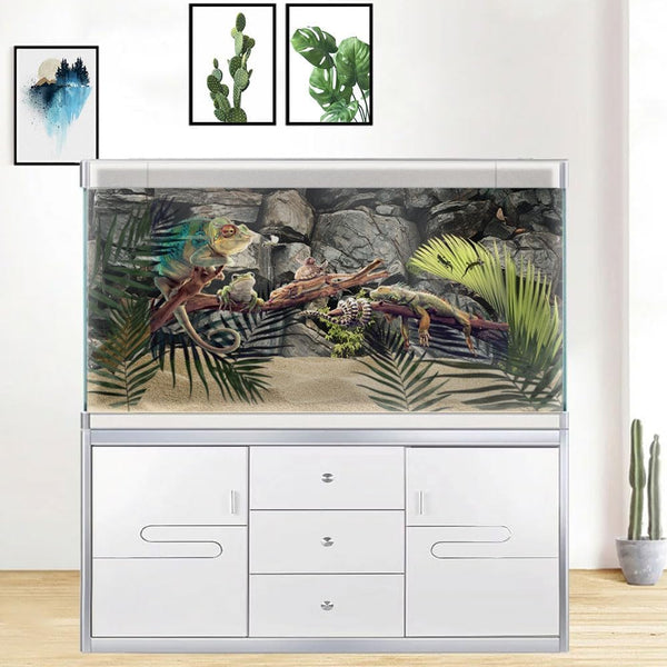 Fondo Terrario Dtekoj con piedra gris para hábitats terrestres.