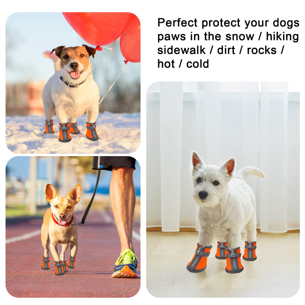 Botas dtyxpet: tallas para perros pequeños para un ajuste seguro