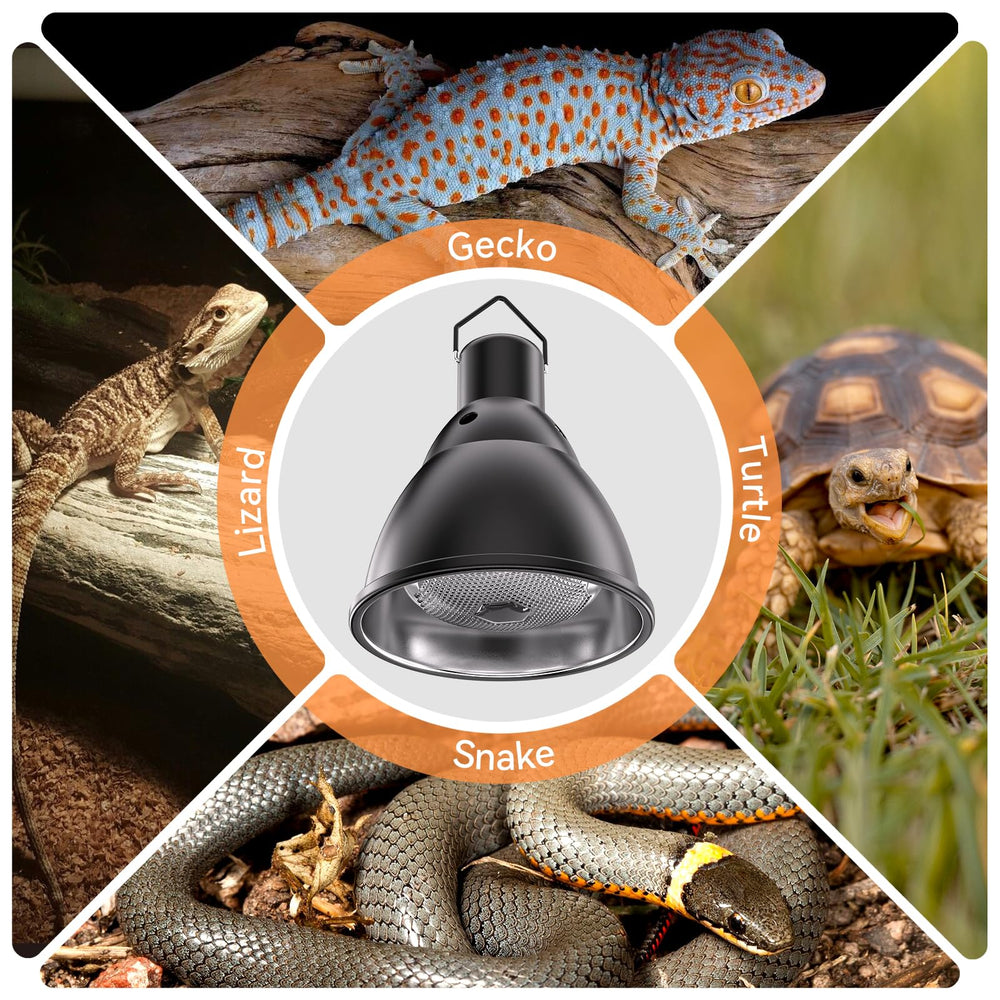 DTZY diseño amplio para reptiles y otros animales pequeños