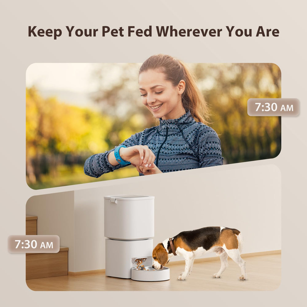 DUDUPET con alimentación dual: cable y pilas AA para colocar donde quieras.