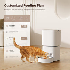 Dispensador de comida para gatos de 21 tazas para evitar rellenar a diario.