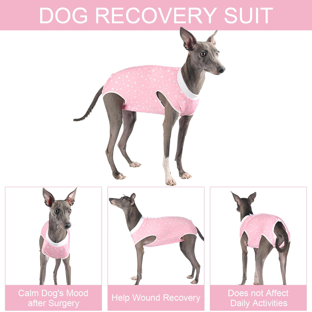 Due Felice ajuste cuello elastico para comodidad del perro