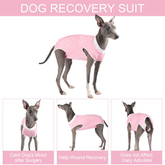 Due Felice ajuste cuello elastico para comodidad del perro