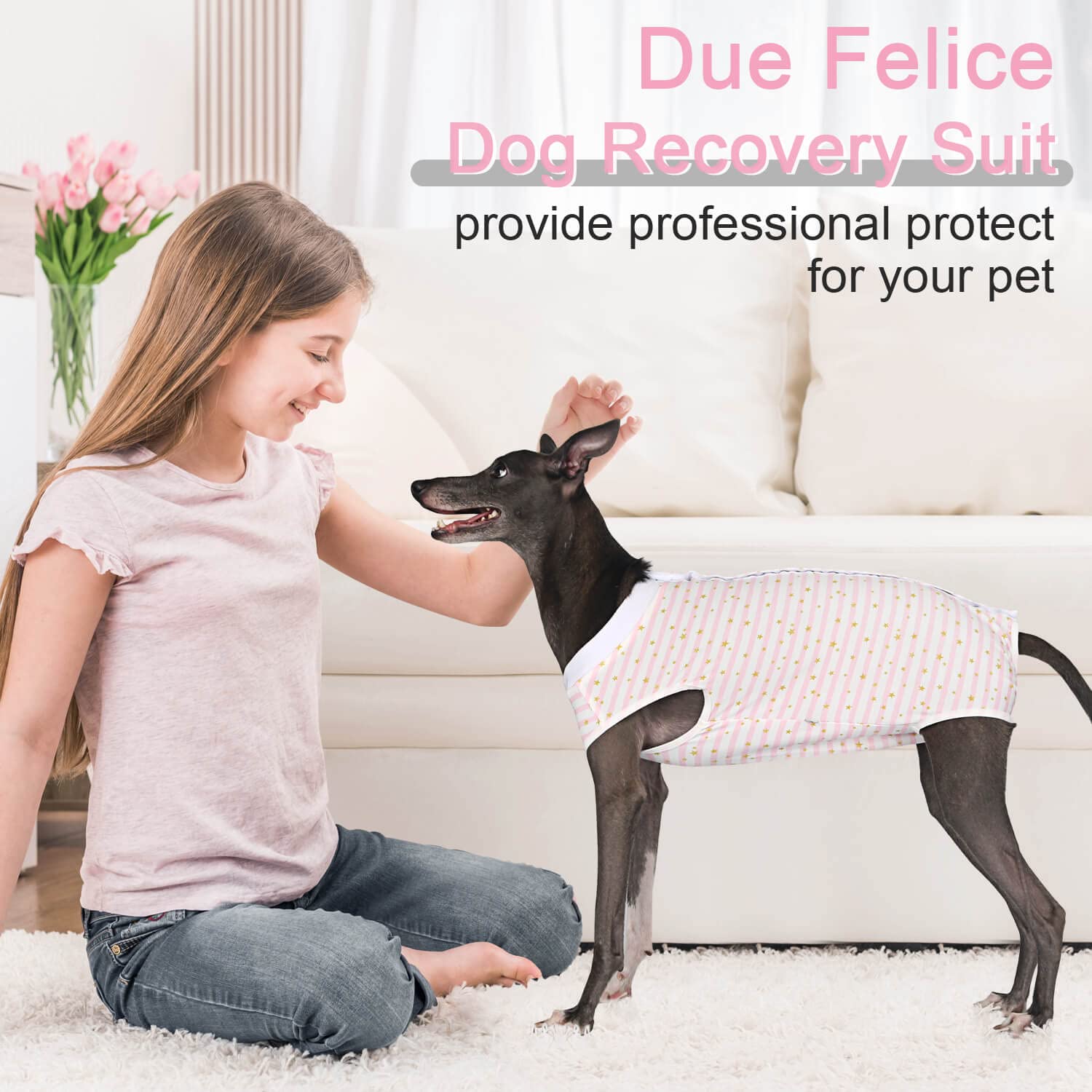 Due Felice mono de recuperación para cirugía, vista posterior, cómodo para moverse durante la recuperación