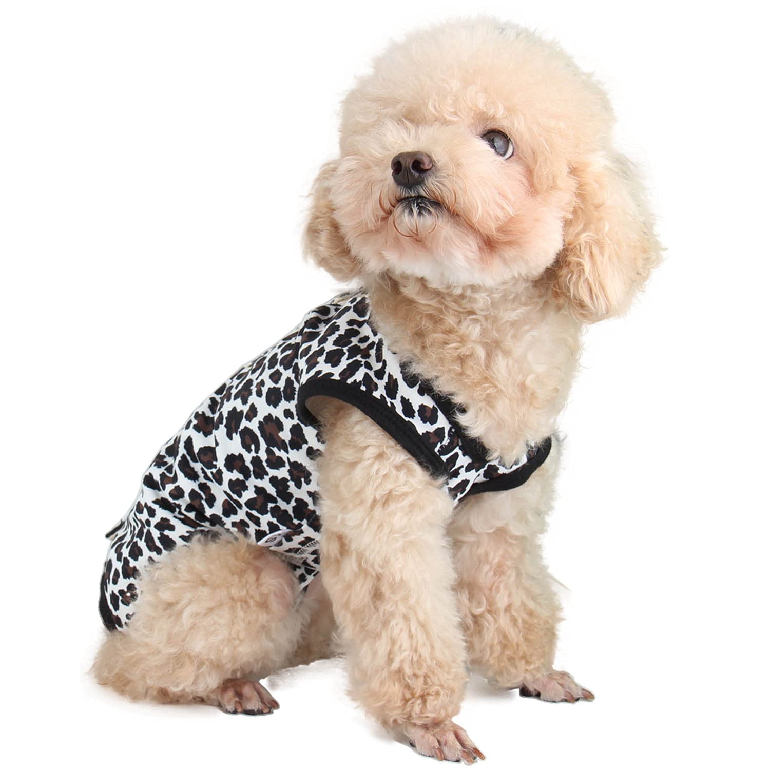 Due Felice mono de recuperación para cirugía en perro hembra, diseño leopardo en talla mediana.