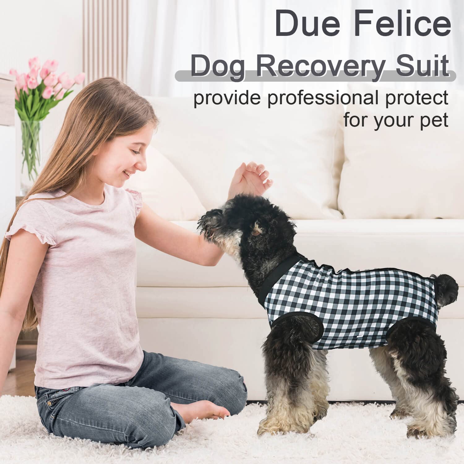 Due Felice mono de recuperación para perro, vista posterior, cierre fácil para ajustar.