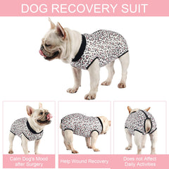 Due Felice mono recuperación quirúrgica para perro, costuras elásticas, evita irritaciones al moverse.