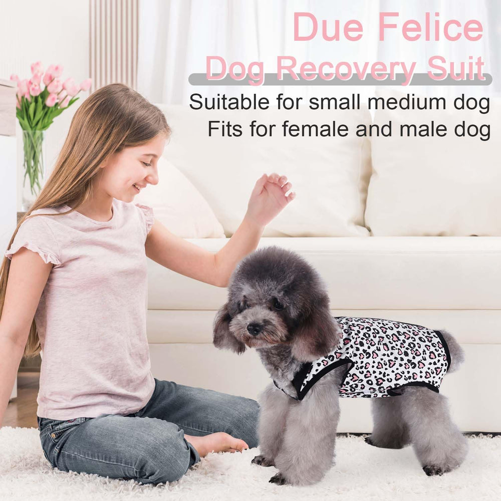 Due Felice mono recuperación quirúrgica para perro, diseño cómodo para dormir y comer.