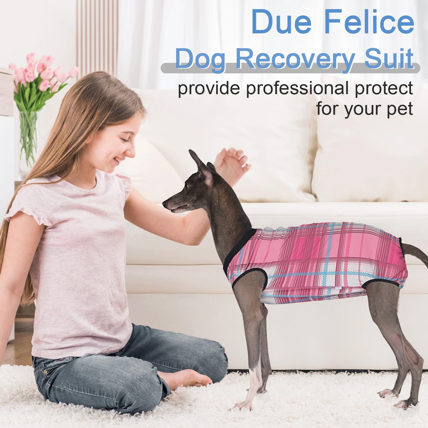Due Felice pijama de recuperación para perro, en uso para comer y beber sin quitarse.