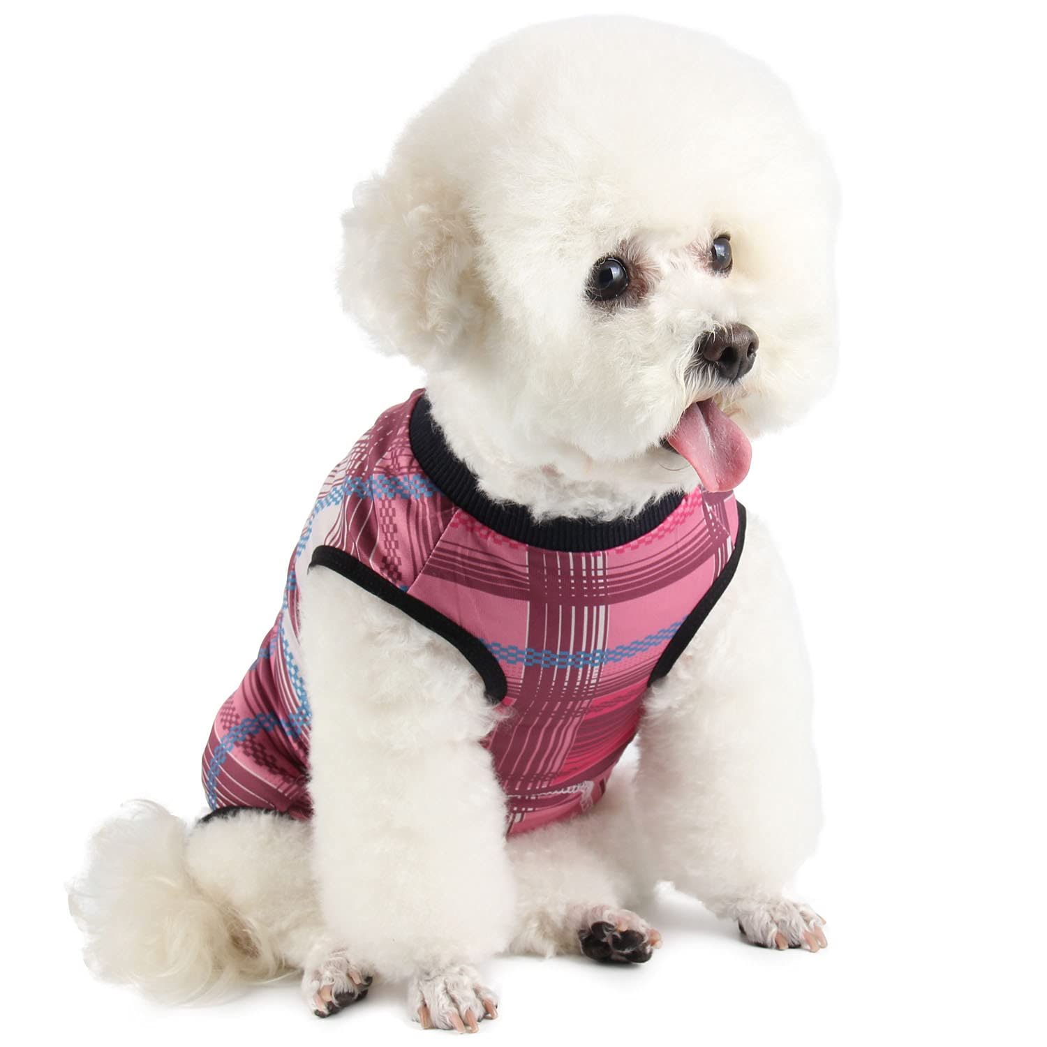 Due Felice pijama de recuperación para perro, vista frontal, confort suave para la recuperación.