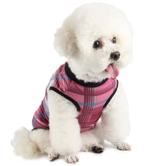 Due Felice pijama de recuperación para perro, vista frontal, confort suave para la recuperación.