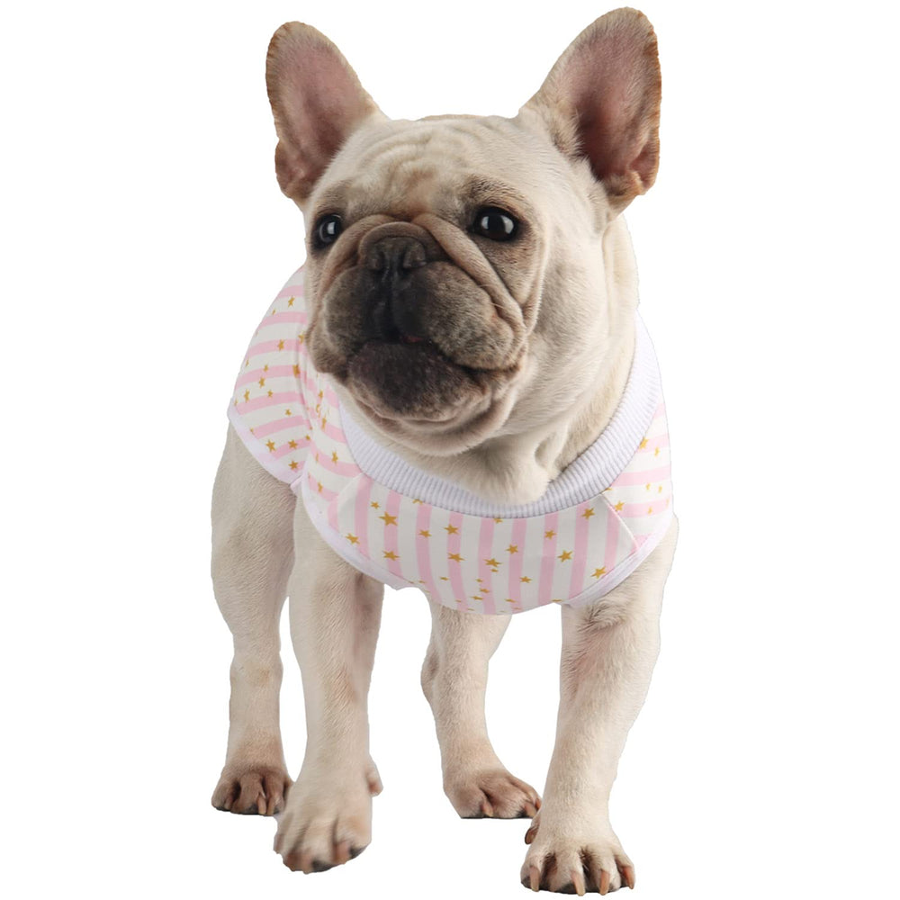 Due Felice traje de cirugía para perro, vista trasera, diseño cómodo.