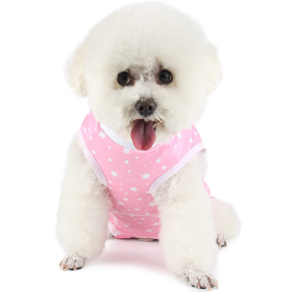Due Felice traje recuperación canina Pink Star protege la zona operada y evita lamidos