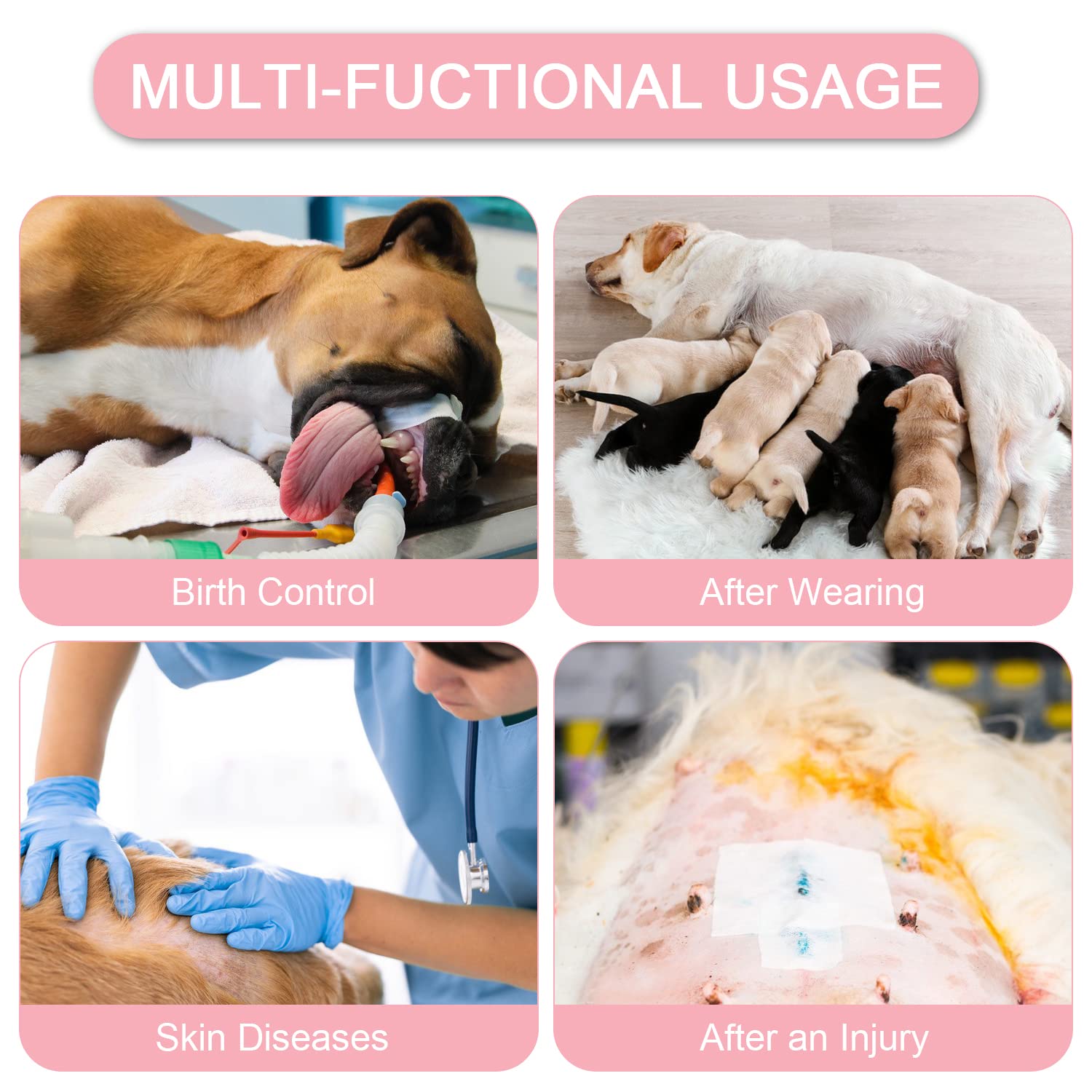 Due Felice traje recuperación, diseño adaptable para perros pequeños y medianos.