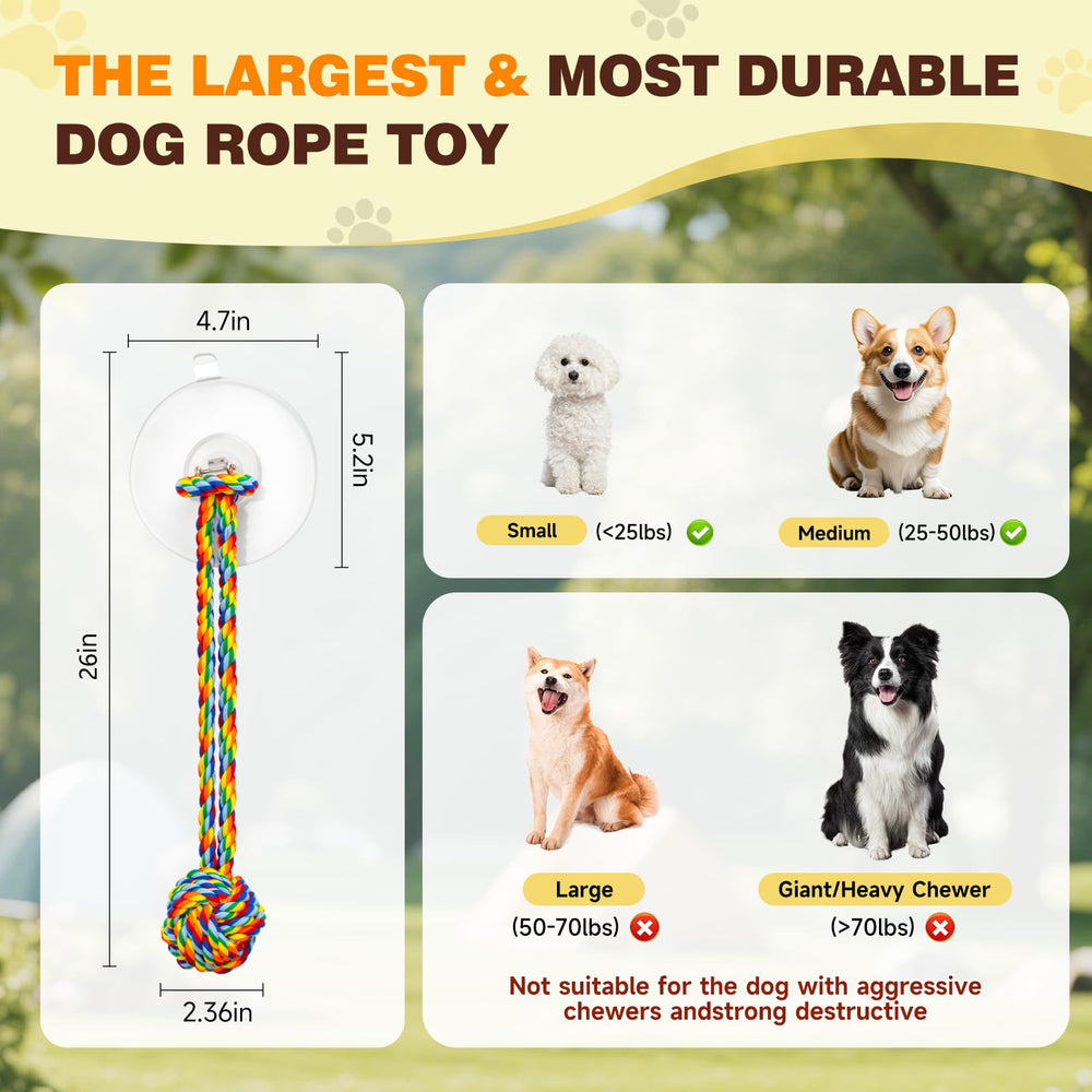 Duocharm Enriquecimiento Cognitivo Perro para estimulación mental.