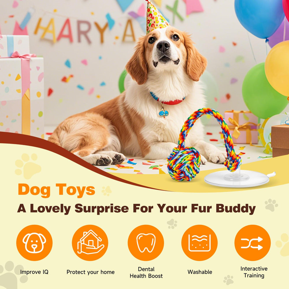 Duocharm Juguete Multifuncional Perro para morder, tirar y jugar.