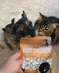 DurbaLife snack deshidratado de pollo, ideal para premiar sin aditivos