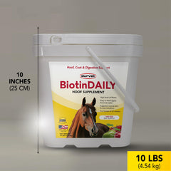 Durvet BIOTIN diario 10lb: etiqueta clara para seguimiento de dosis