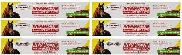 Pasta ivermectina Durvet sabor manzana en jeringa para caballos