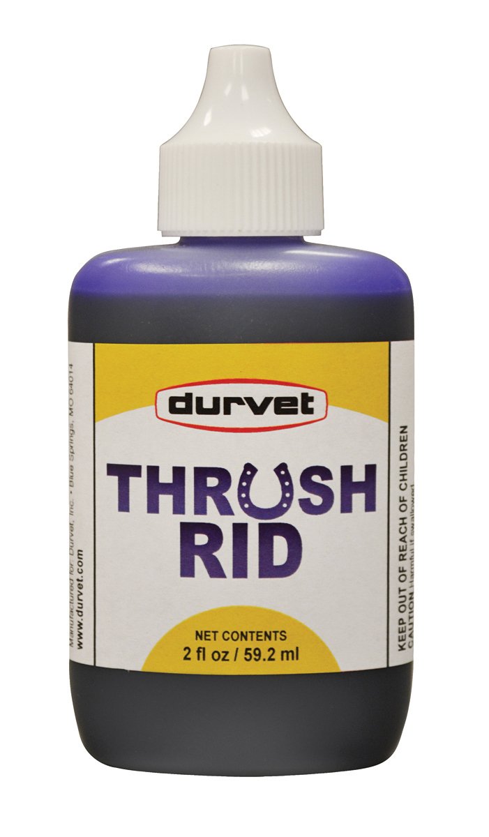 Durvet Thrush Rid para caballos, botella de 2 oz, facilita el cuidado diario del casco