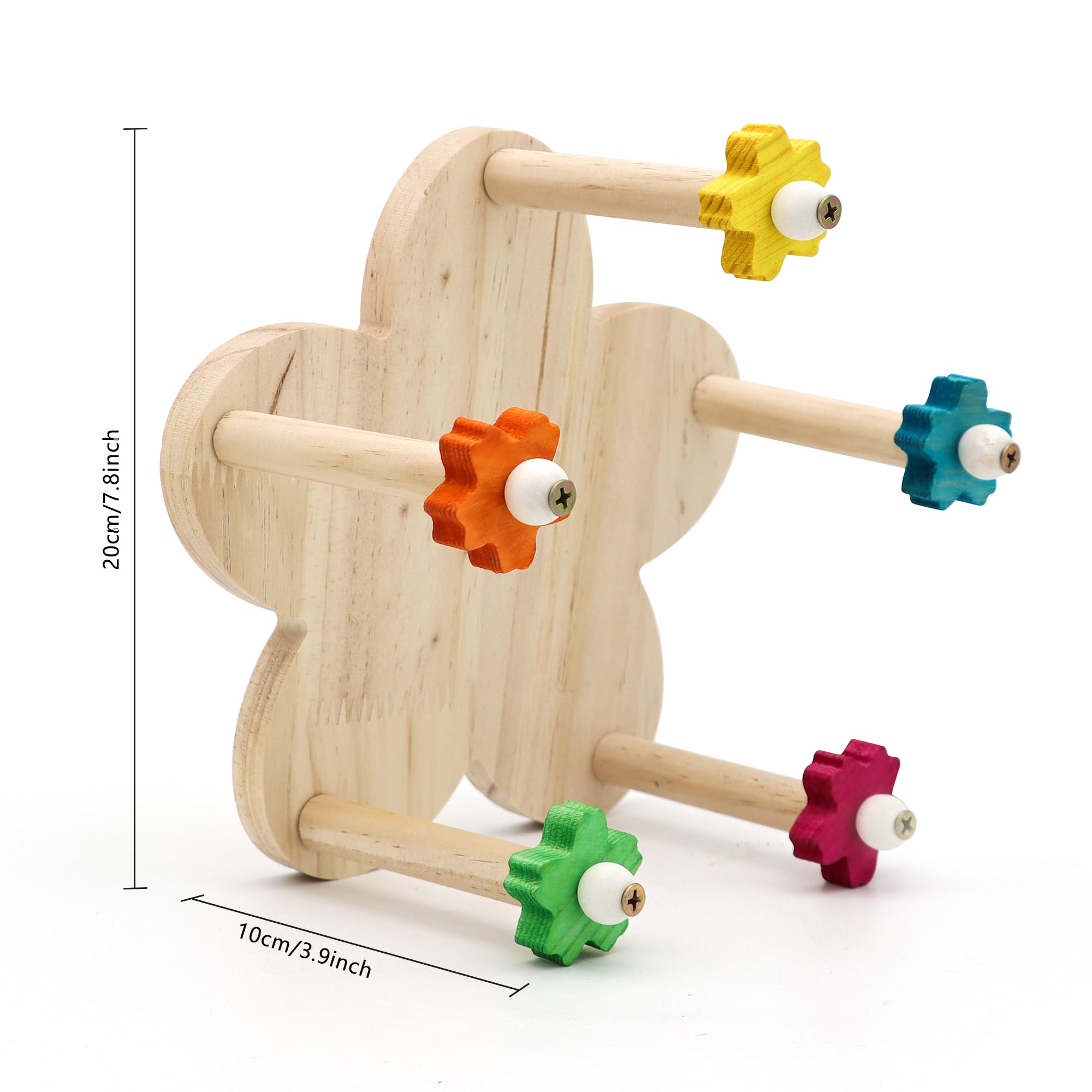 DVHEY diseño ligero y portátil, ideal como regalo para amantes de las aves.