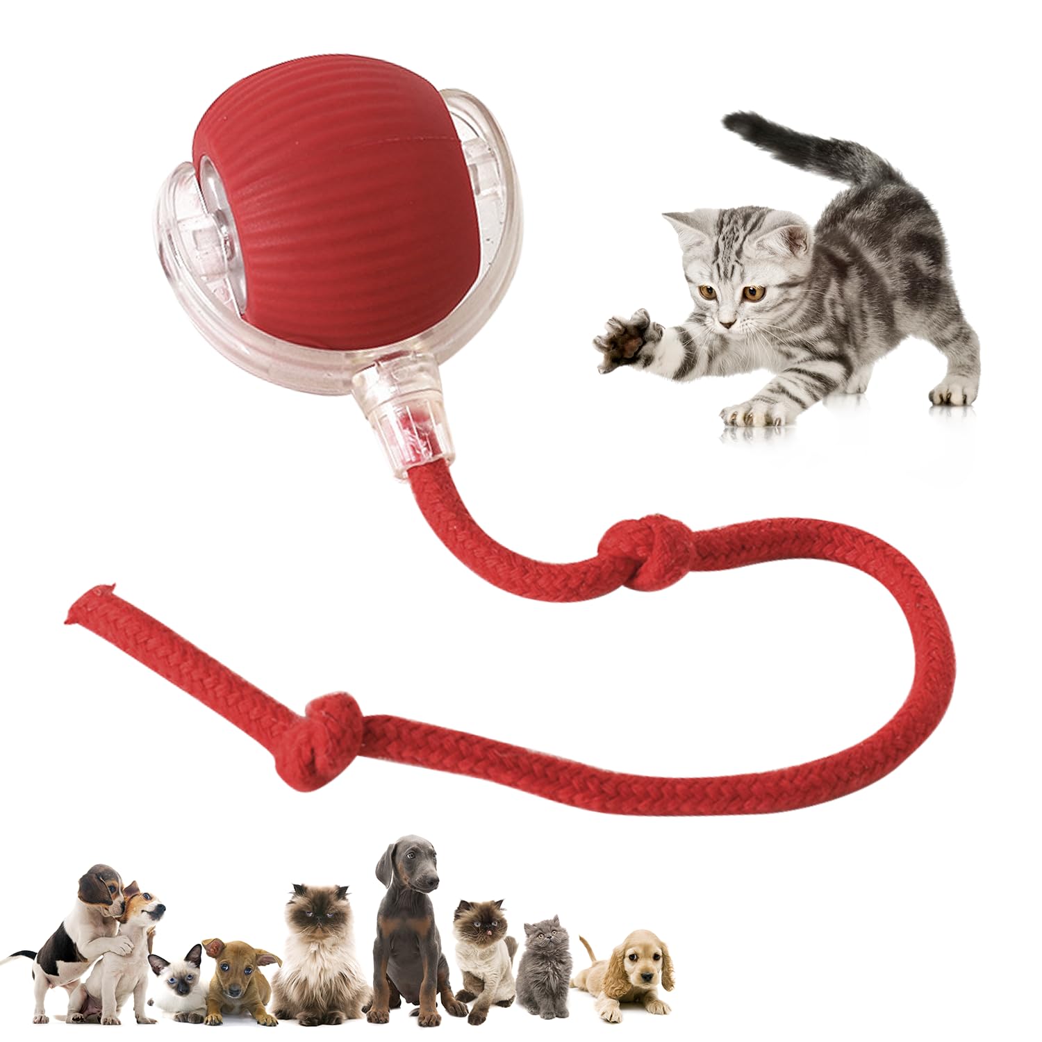 DVHNMK Chewie regalo ideal para mascotas activas y curiosas.