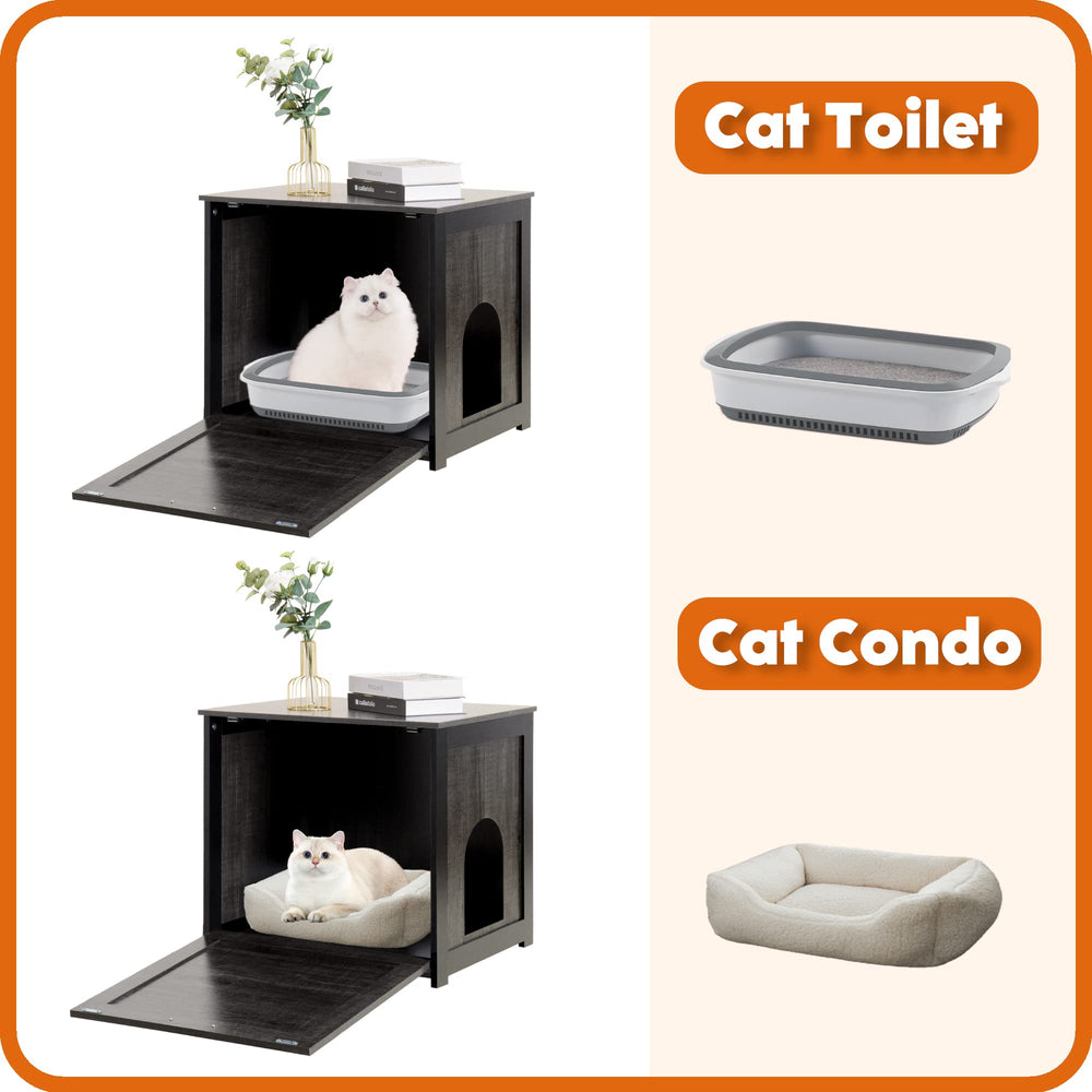 Dwanton gato en uso: gato entra y utiliza la caja discretamente
