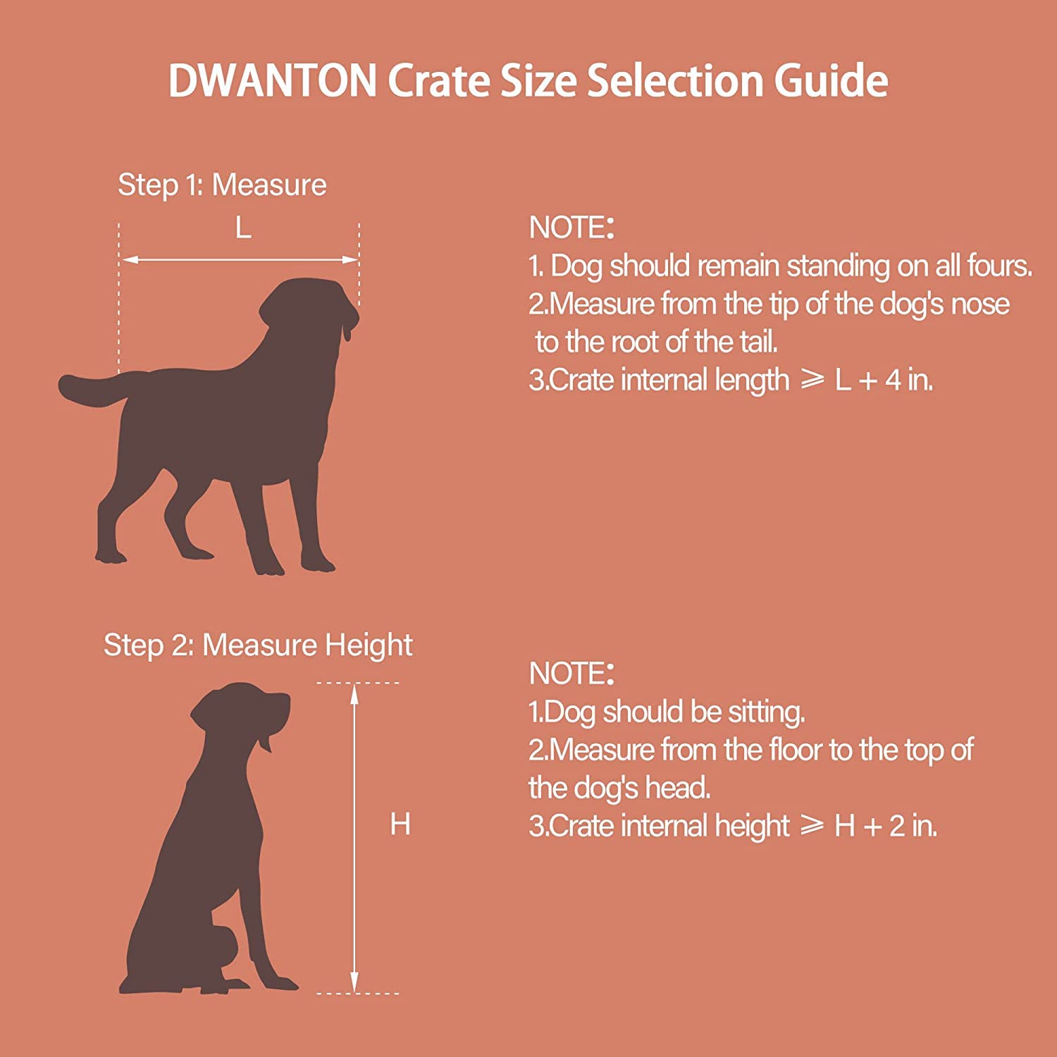 DWANTON caja-perro interior-disenio-comodo: diseño cómodo para habitaciones.