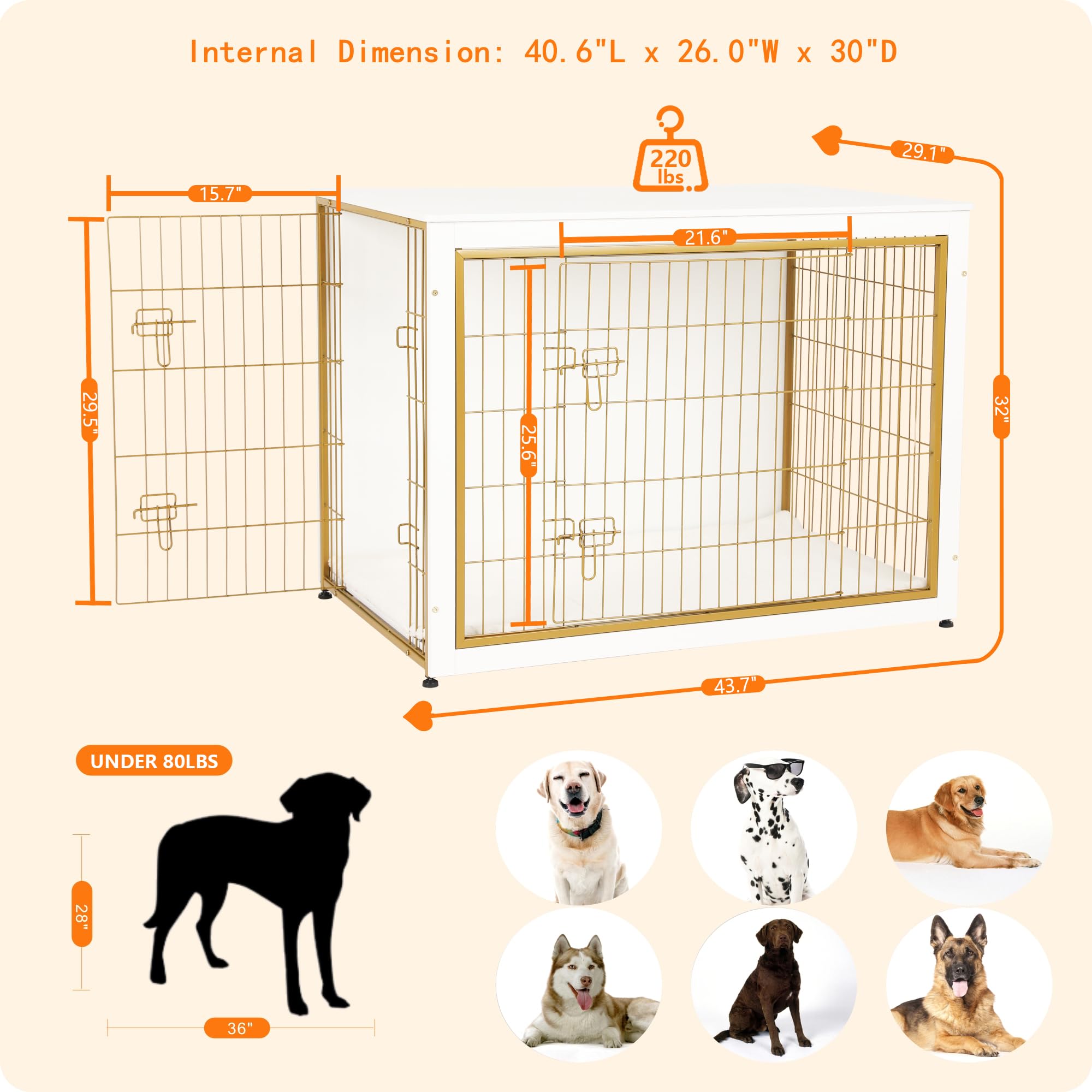 Dwanton jaula para perros uso interior, superficie estable para plantas y libros.