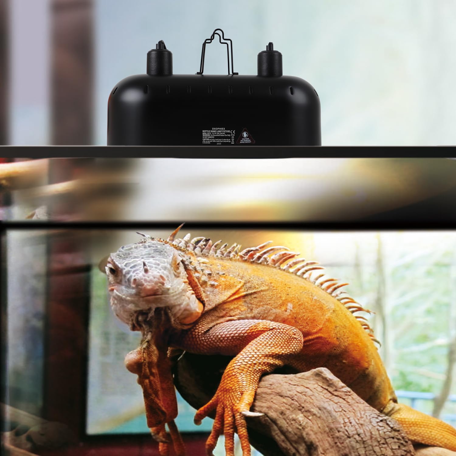dxophiex cable de 30 pulgadas, montaje seguro y ordenado de la lámpara