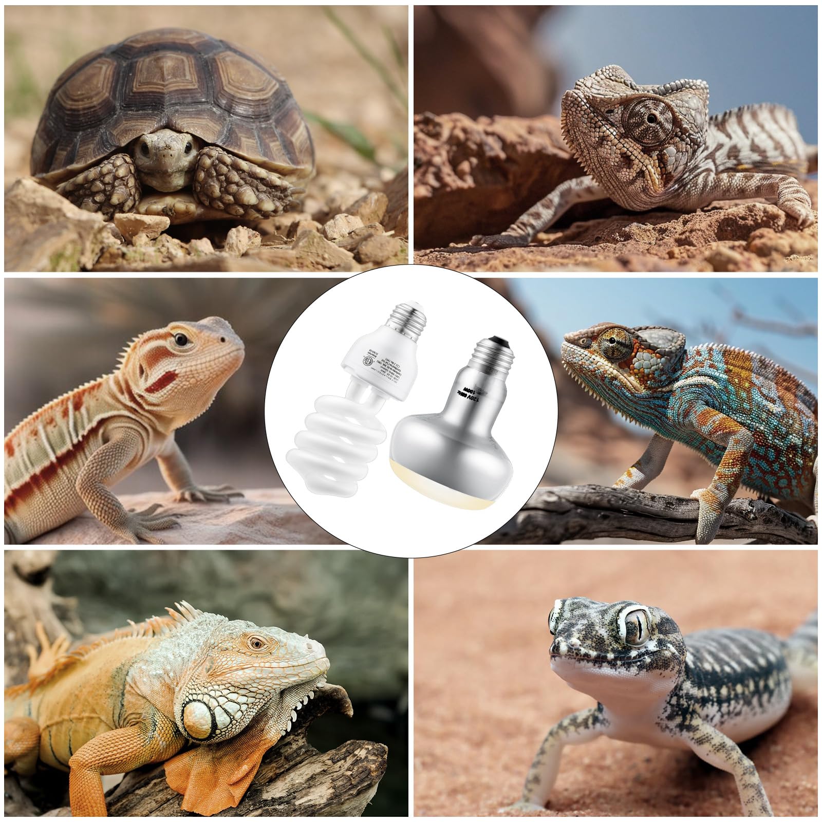 DXOPHIEX uso versátil para dragones barbudos, tortugas y lagartos.