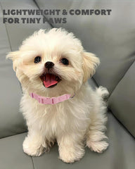 Dynmeow collar ajustable en rosa, ideal para perros en crecimiento.