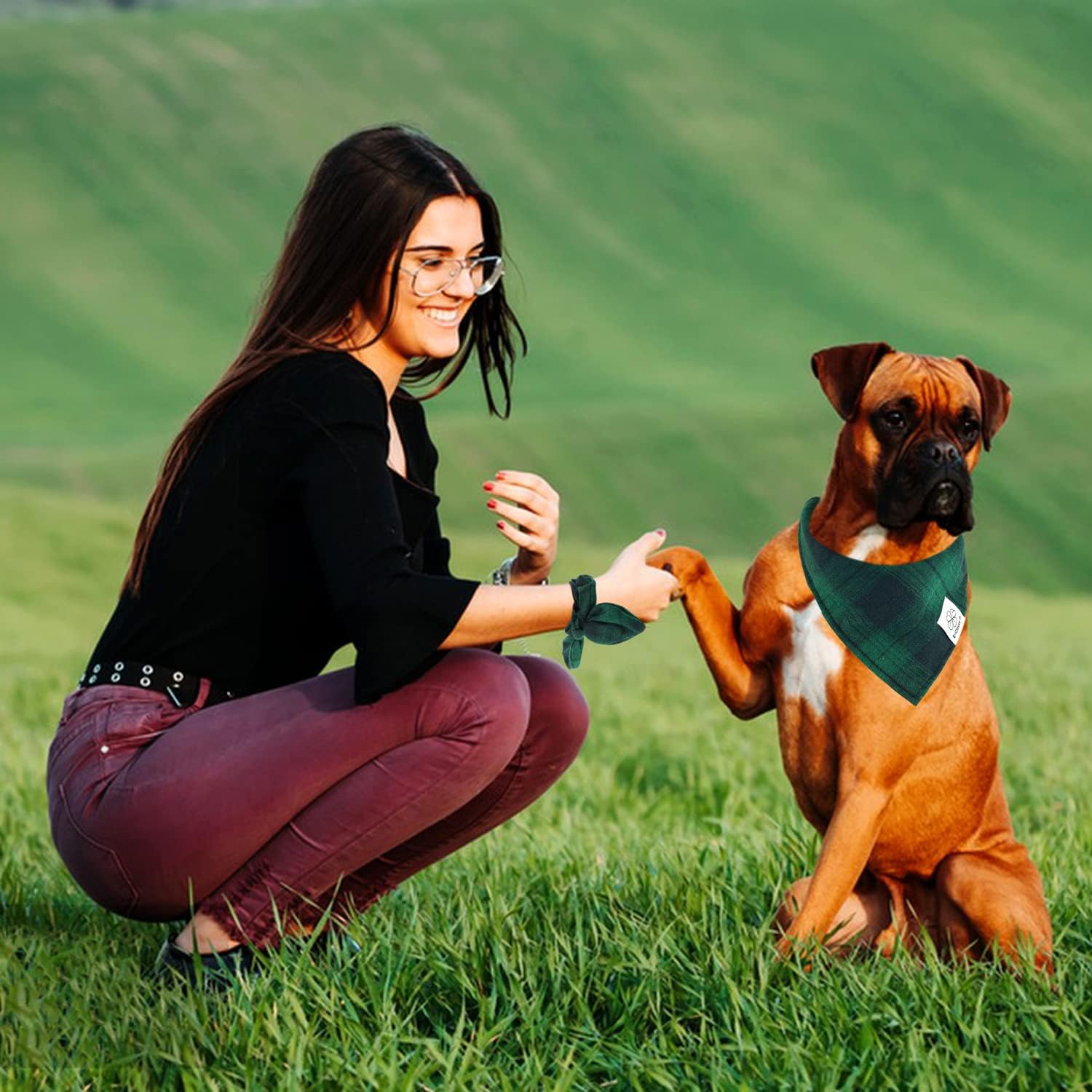 Bandana de cuadros verde para perro, estilo festivo y duradero.