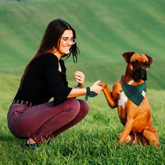 Bandana de cuadros verde para perro, estilo festivo y duradero.