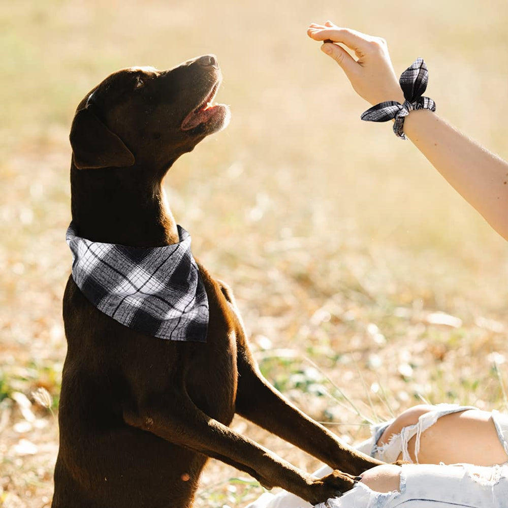 Bandana para perro con ajuste de cuello de 50 cm, cómodo y adaptable.