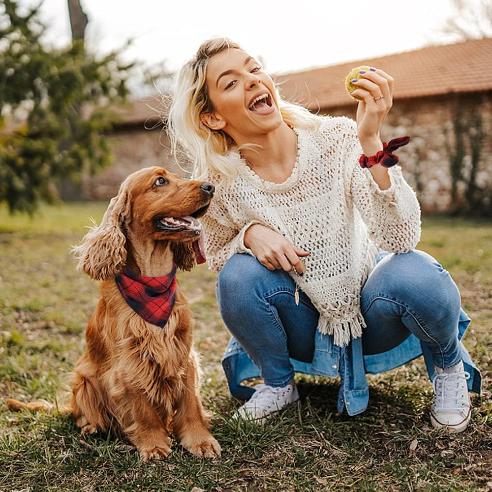 Bandana E-Clover para perro, lavable en frío y fácil de cuidar.