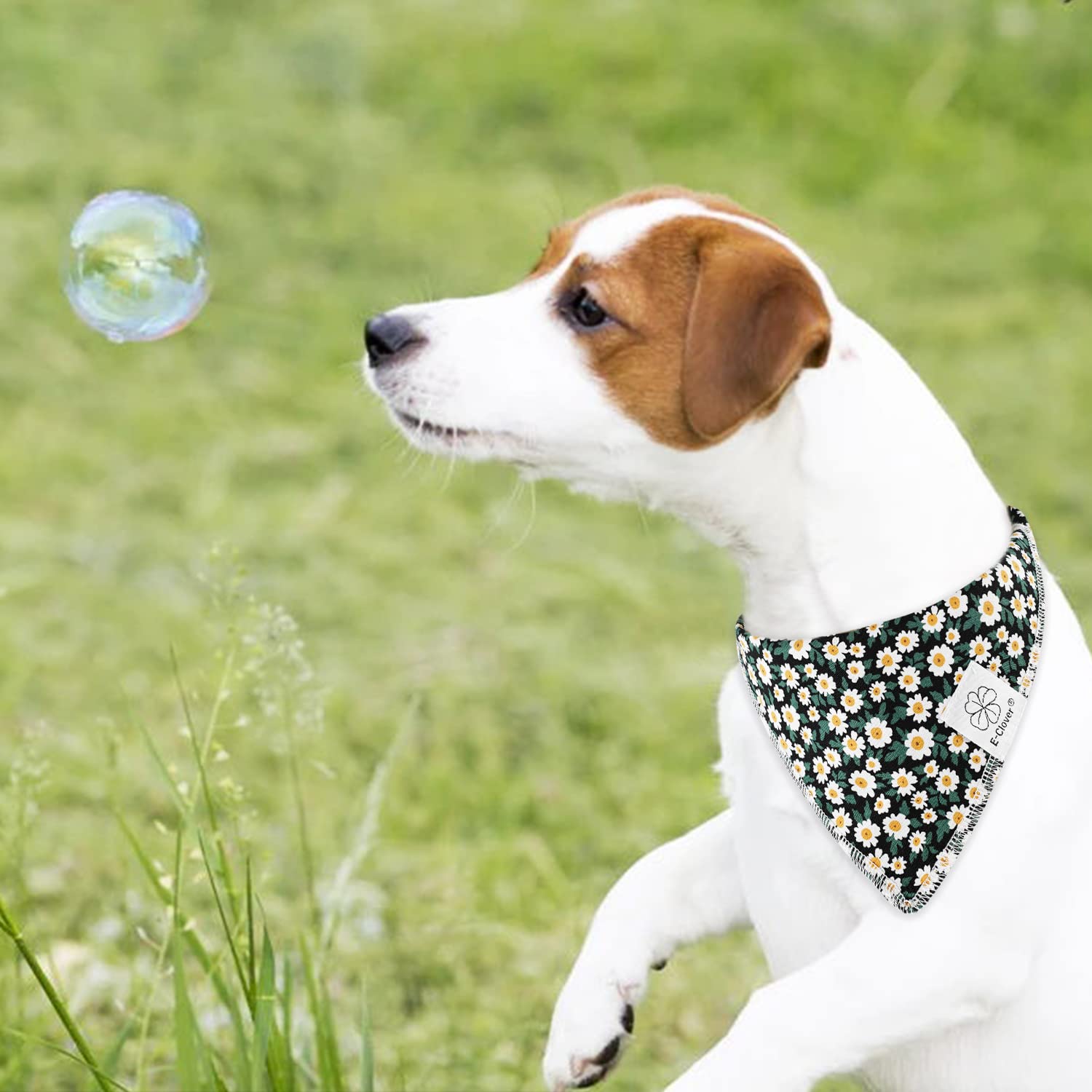 Bandana para perro E-Clover lavable a máquina en frío